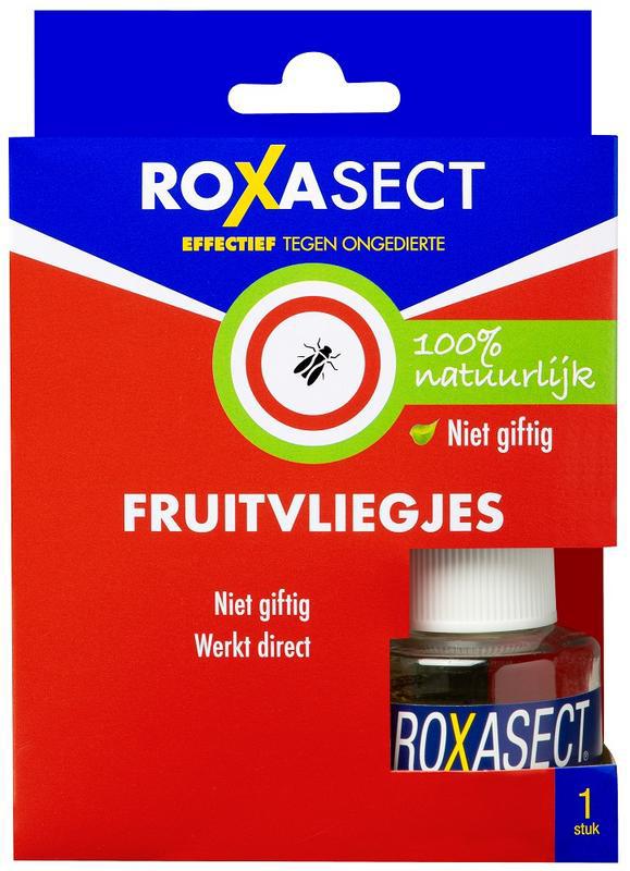 Fruitvliegjes
