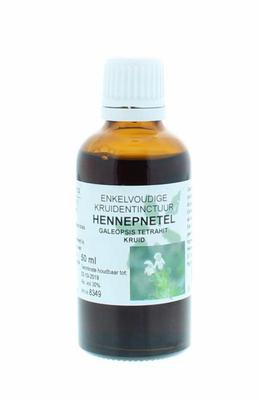 Natura Sanat Galeopsis tetrahit herb / hennepnetel tinctuur