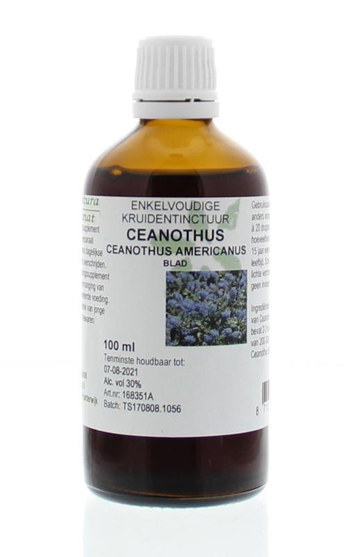 Ceanothus americanus folia tinctuur