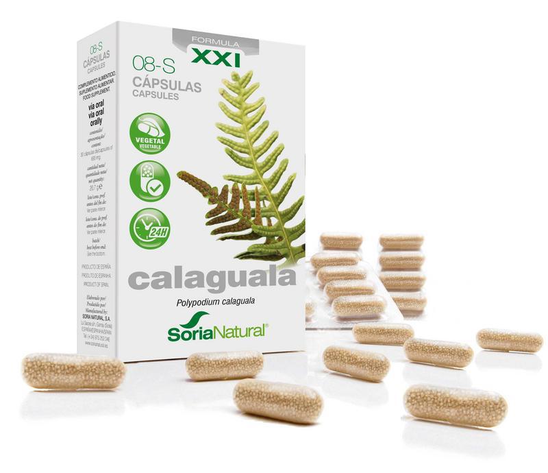 8-S Calaguala XXI