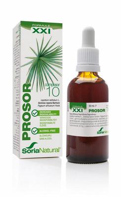 SORIA Composor 10 prosor XXI