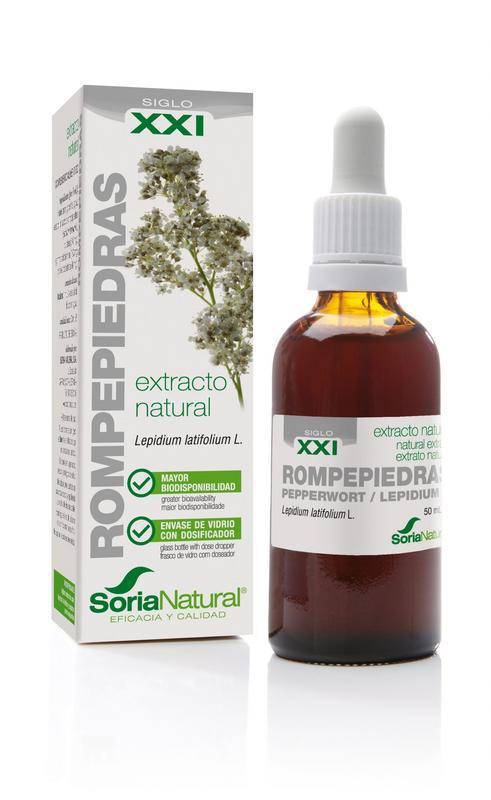 Lepidium latifolium extract