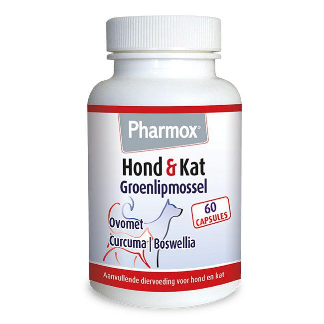 Hond & kat groenlipmossel