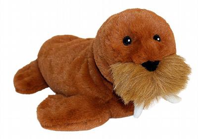 Volatile Walrus