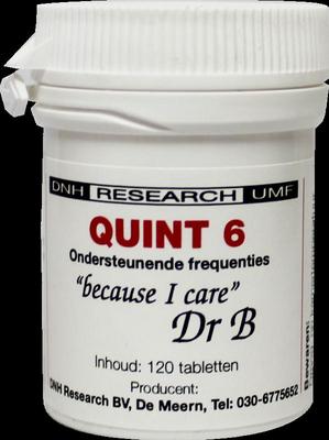 DNH Quint 6