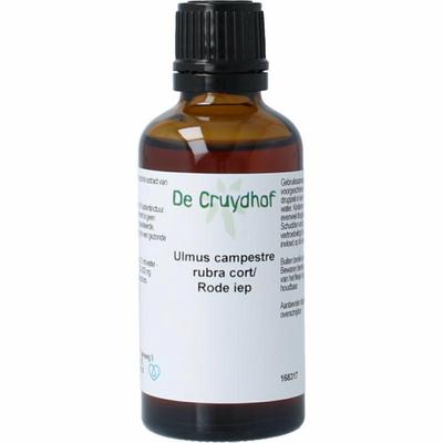 Cruydhof Ulmus campestre rubra / rode iep tinctuur