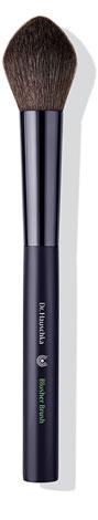 Blusher brush