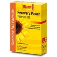 recovery power b12- 16tb