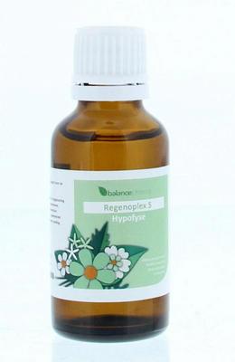 Balancepharma RGP005 Hypofyse Regenoplex