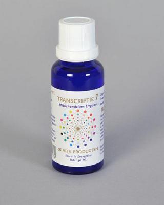 Vita Transcriptie 7 mitochondrium orgaan
