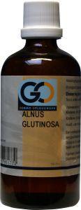 GO Alnus glultinosa bio