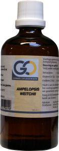 Ampelopsis weitchii bio