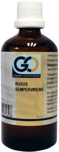 GO Buxus sempervirens