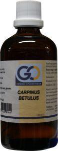 GO Carpinus betulus