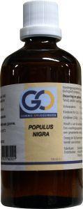 Populus nigra bio