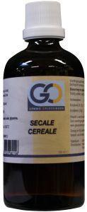 Secale cereale bio