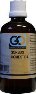 Sorbus domestica bio