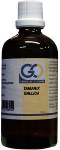 Tamarix gallica bio