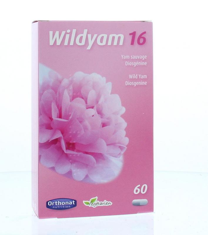Wild Yam 16