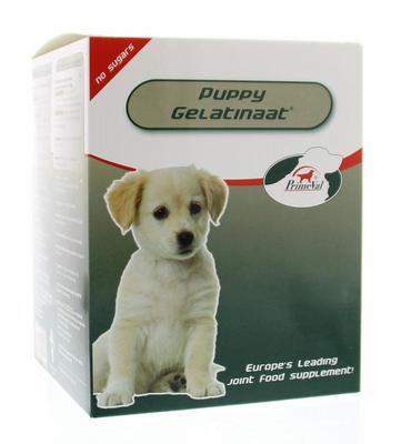 Primeval Gelatinaat puppy