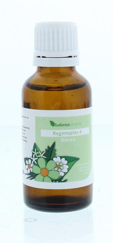 RGP004 Nieren Regenoplex