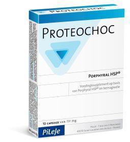 PILEJE Proteochoc