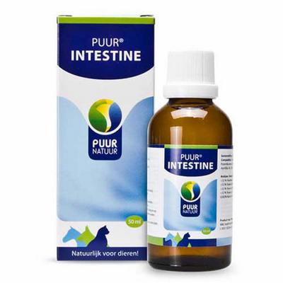PUUR Intestine / Darm