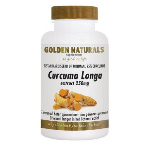 Curcuma longa