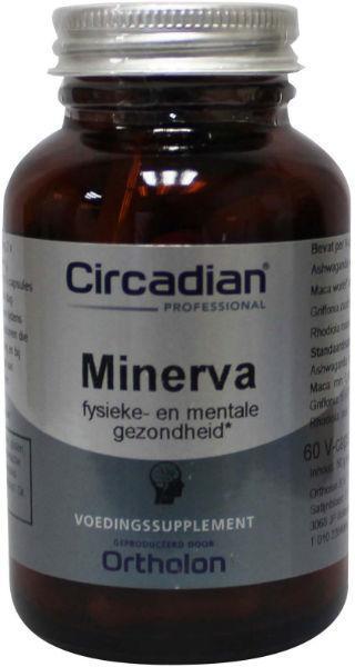Minerva