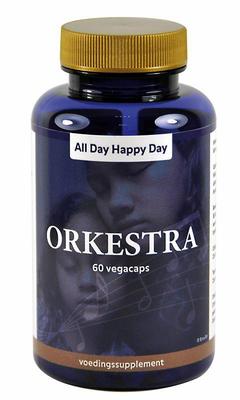 All Day Happy Day Orkestra