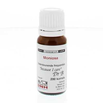 DNH Moniosa