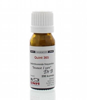 DNH Quint 365