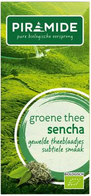 Piramide Groene thee sencha bio