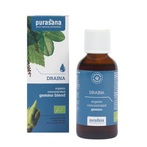 Puragem draina bio