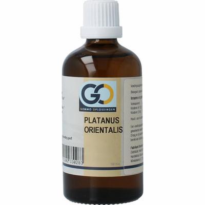 GO Platanus orientalis bio