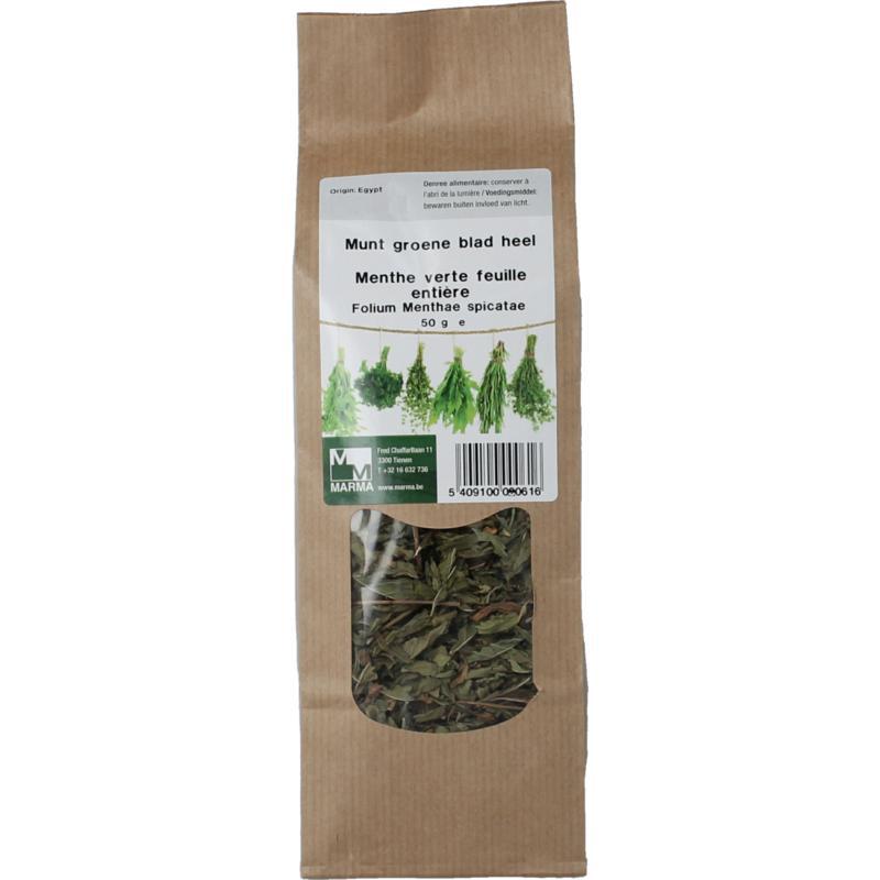 Munt groene blad heel