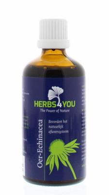 HERBS4YOU Oer echinacea