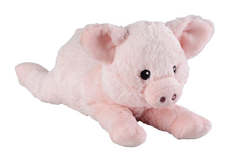 Mini varken