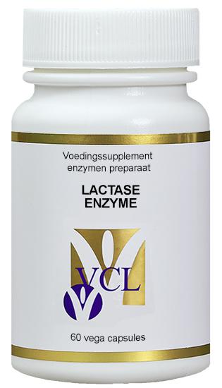 Lactase enzyme