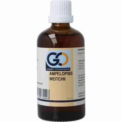 GO Ampelopsis weitchii bio