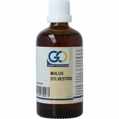 GO Malus sylvestrus bio