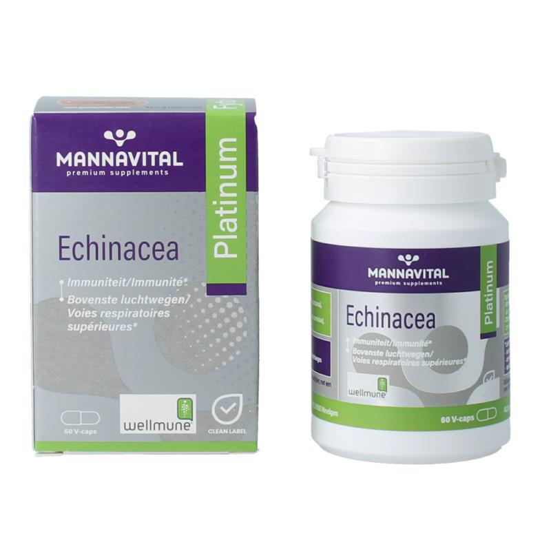 Echinacea platinum