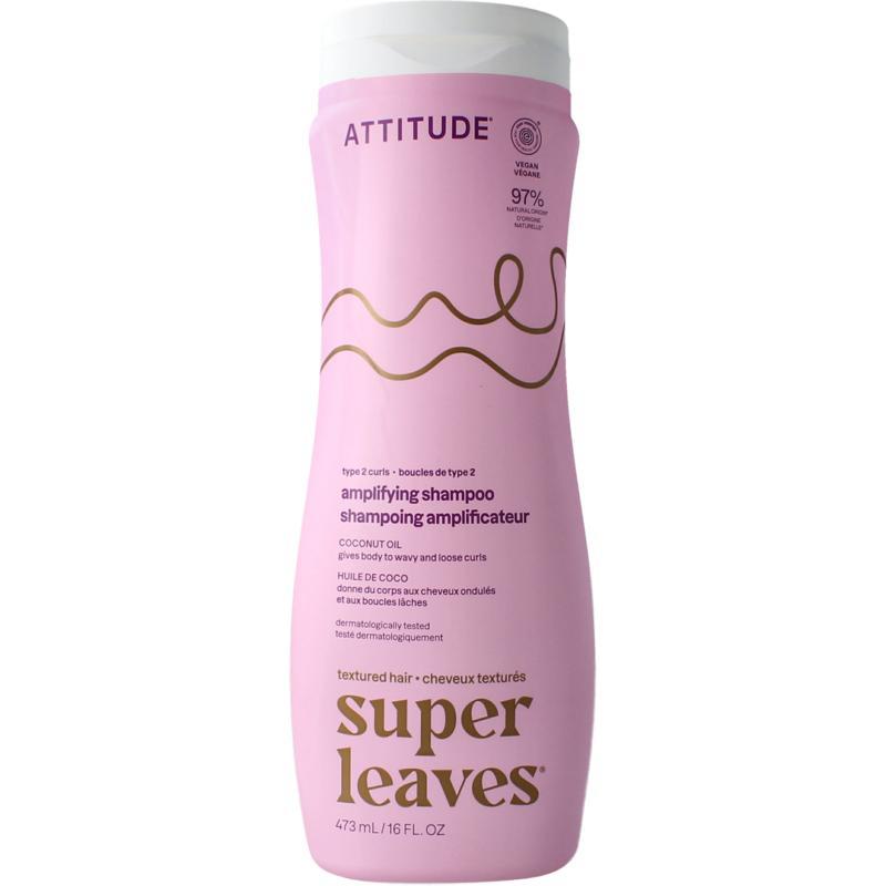 Shampoo coconut oil curl amplifying type 2