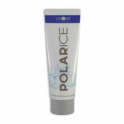 Cydonia Polar ice