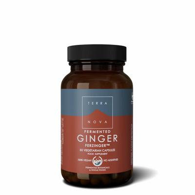 Terranova Fermented ginger 250mg