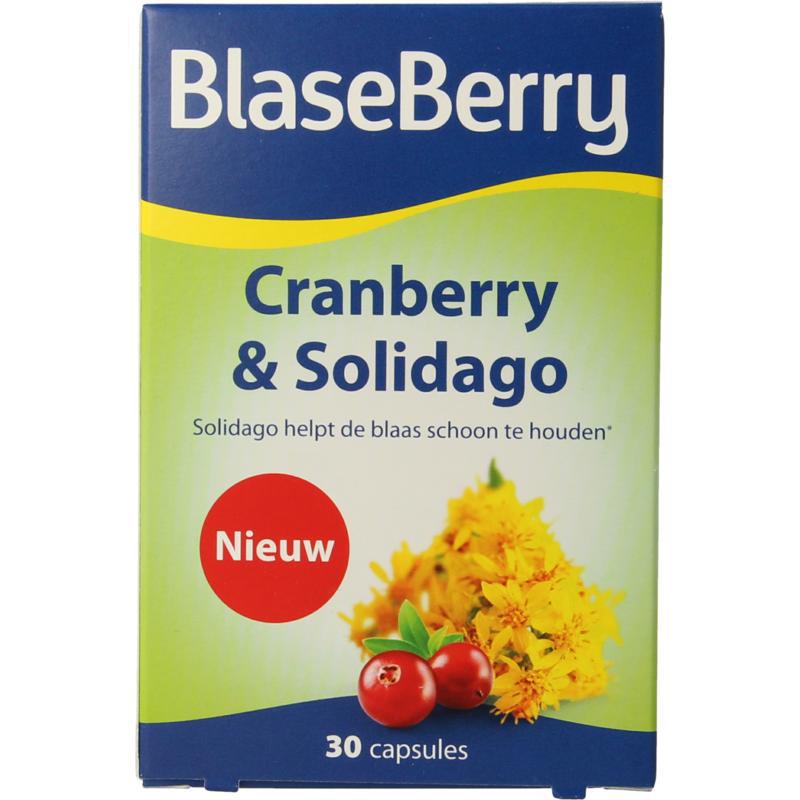 Blasecare cranberry solidago