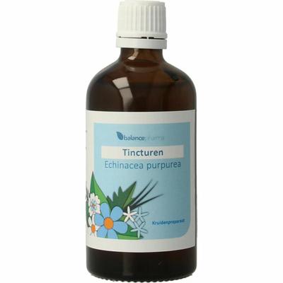 Balancepharma Echinacea purpurea tincturen