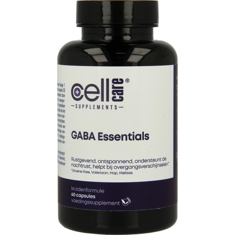 Gaba essentials