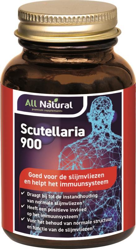 Scutellaria