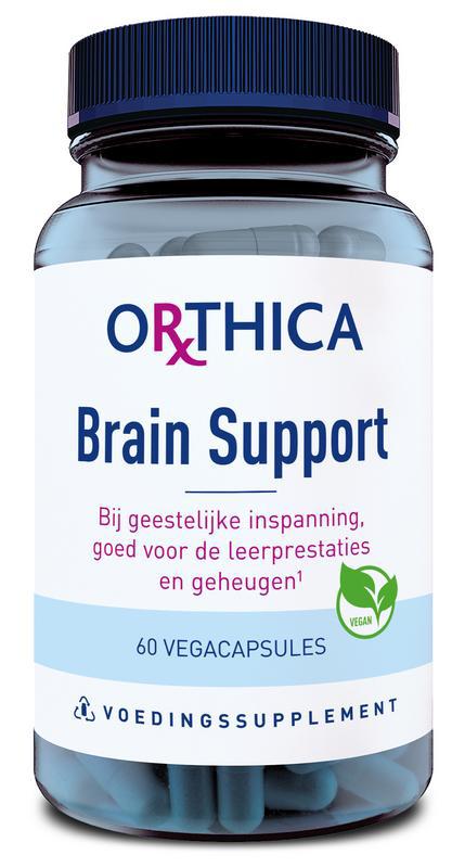 Brain support